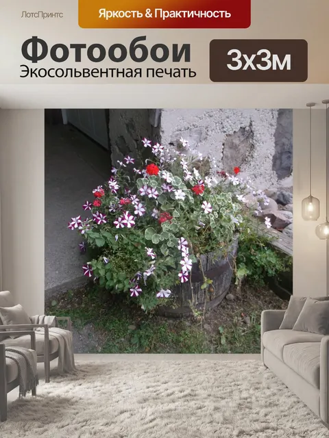 Фотообои Бочка плантатор
