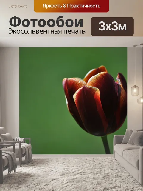 Фотообои Тюльпан