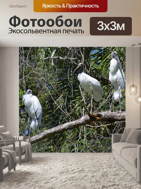 Фотообои Аисты в лесу