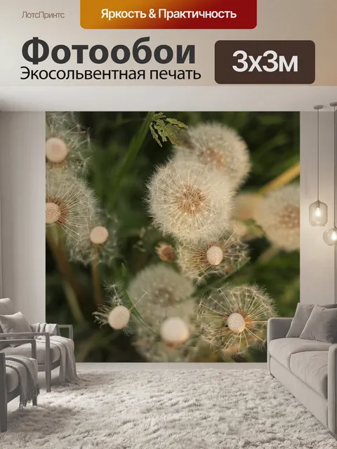 Фотообои Одуванчики