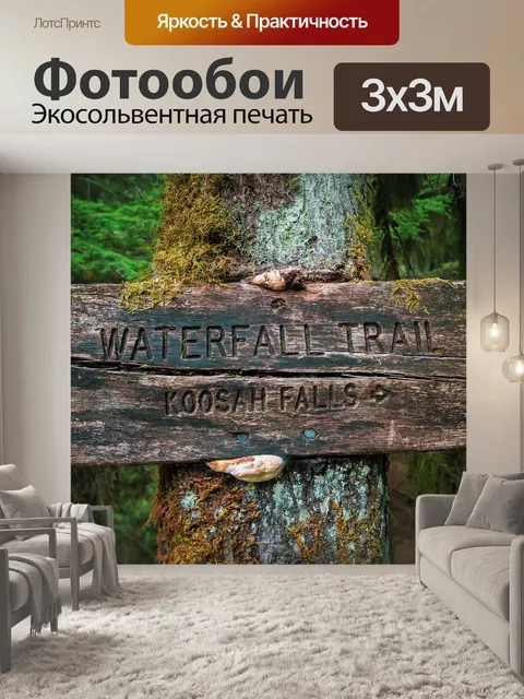 Фотообои Тропа к водопаду