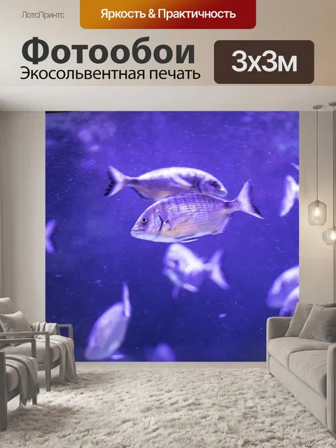 Фотообои Рыба