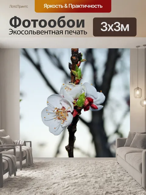 Фотообои цветы на плодовых деревьев