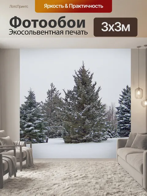 Фотообои Вечнозеленые растения в снегу