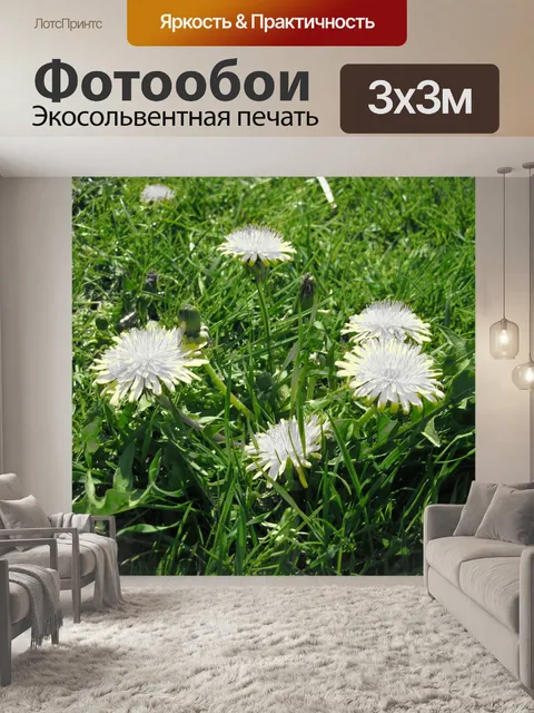 Фотообои Трава