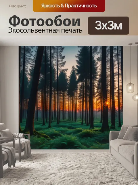 Фотообои лесная тишина во время заката