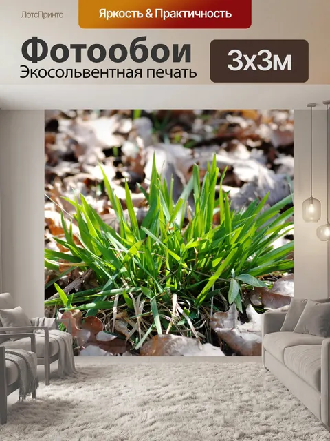 Фотообои Трава