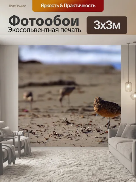 Фотообои Птицы