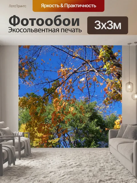 Фотообои Осенние листья