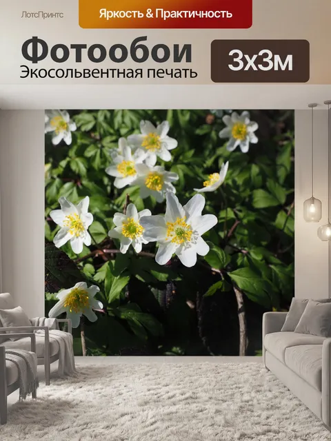 Фотообои Древесные анемоны