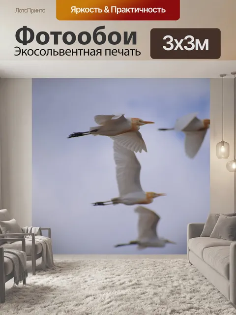 Фотообои Краны