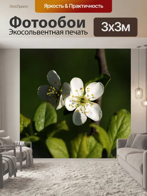 Фотообои Цветок
