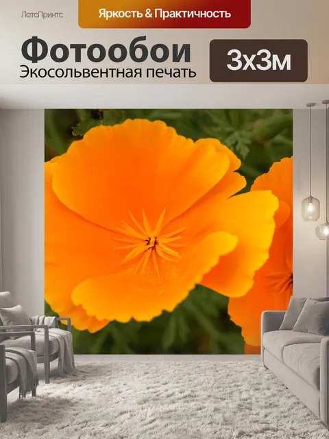 Фотообои Мак