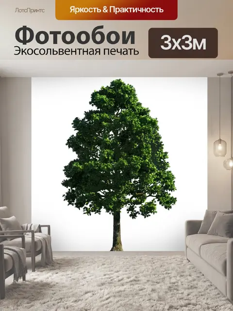 Фотообои дерево