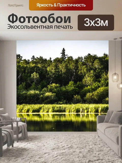 Фотообои Лес