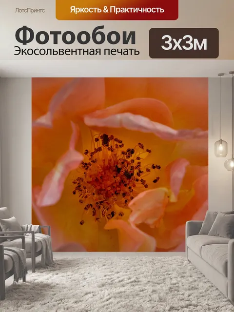 Фотообои Роуз