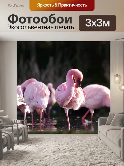 Фотообои Животные