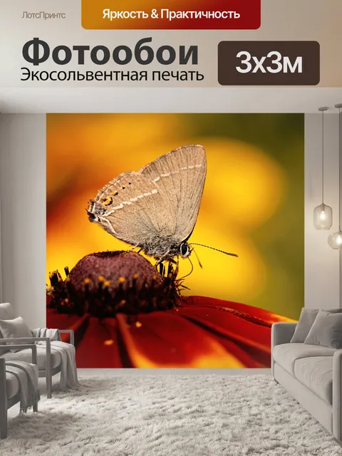 Фотообои Бабочка