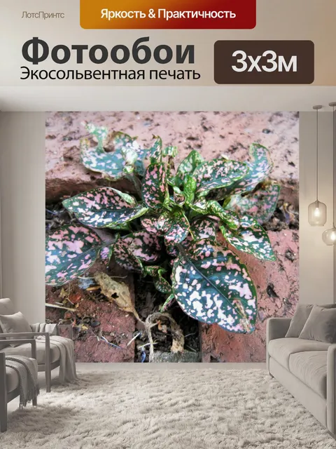 Фотообои мороженое или снег куст