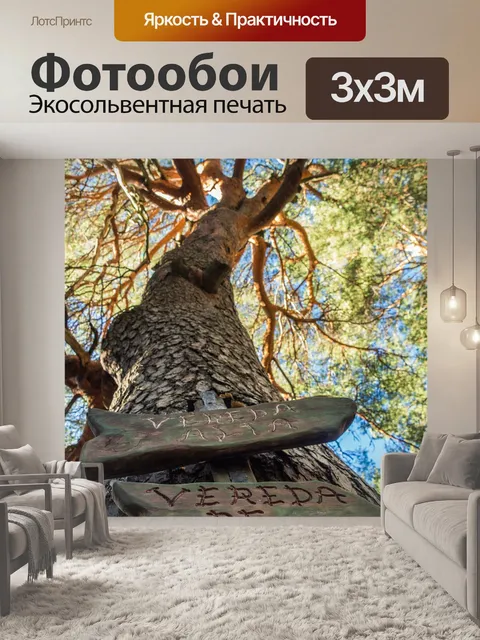 Фотообои Лес