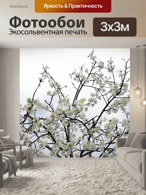 Фотообои Фон