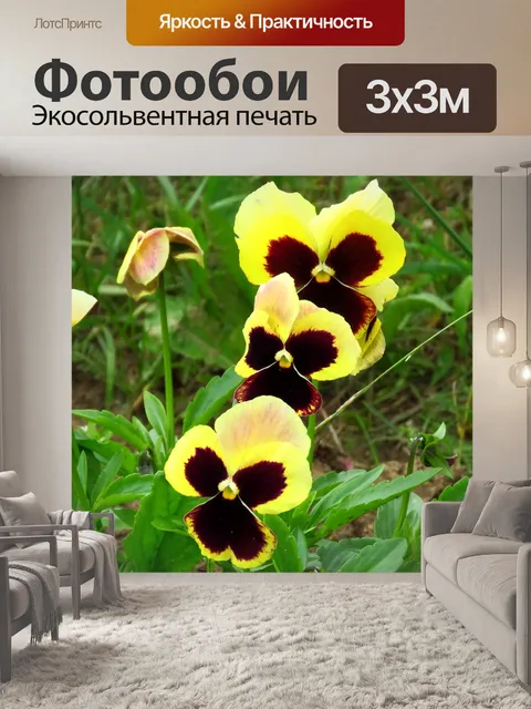 Фотообои Цветы