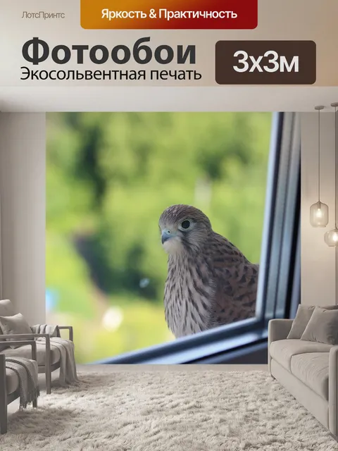 Фотообои Птица