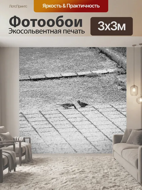 Фотообои Воробьи на земле