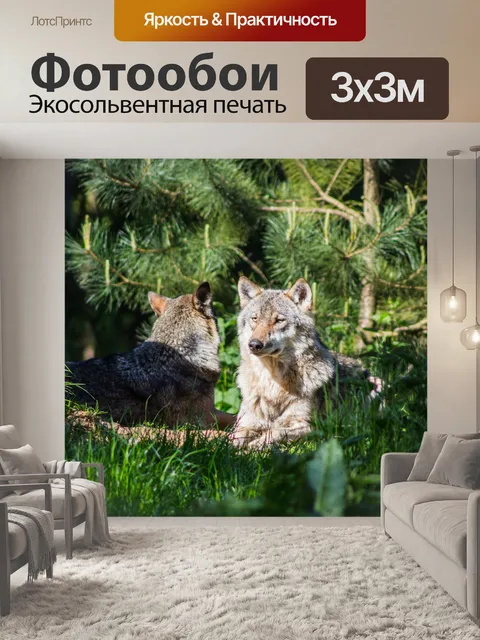 Фотообои Волки