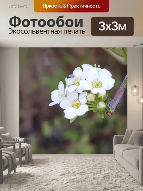 Фотообои Цветок