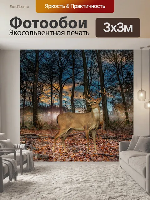 Фотообои Лес