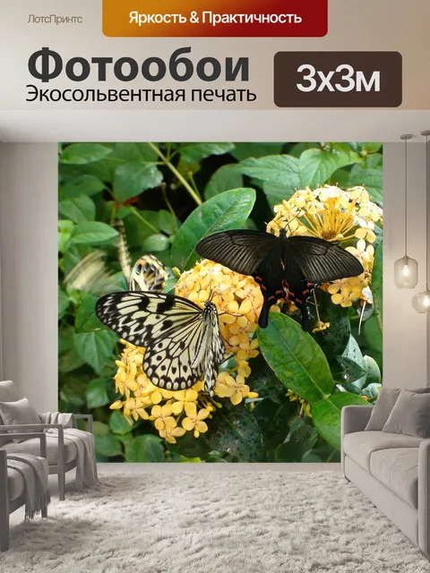 Фотообои Бабочки