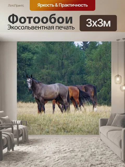 Фотообои Лошади