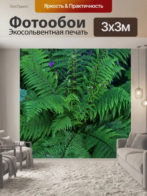 Фотообои Папоротник