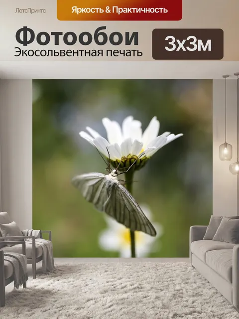Фотообои Бабочка