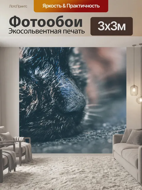Фотообои Кошка