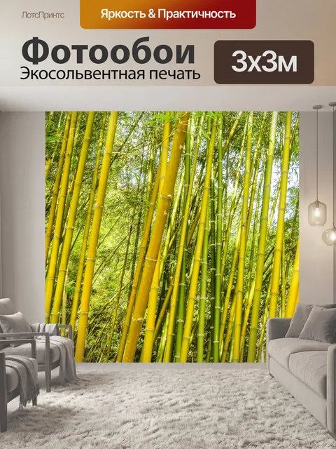 Фотообои Бамбуковый лес природа фон
