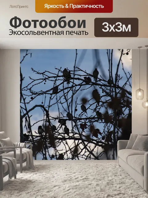 Фотообои Стая птиц