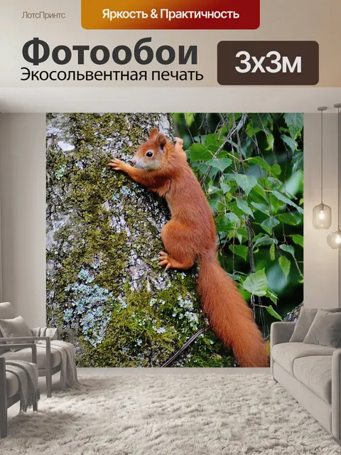 Фотообои Белка