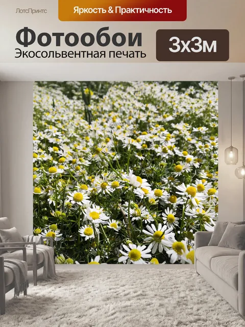 Фотообои Ромашка