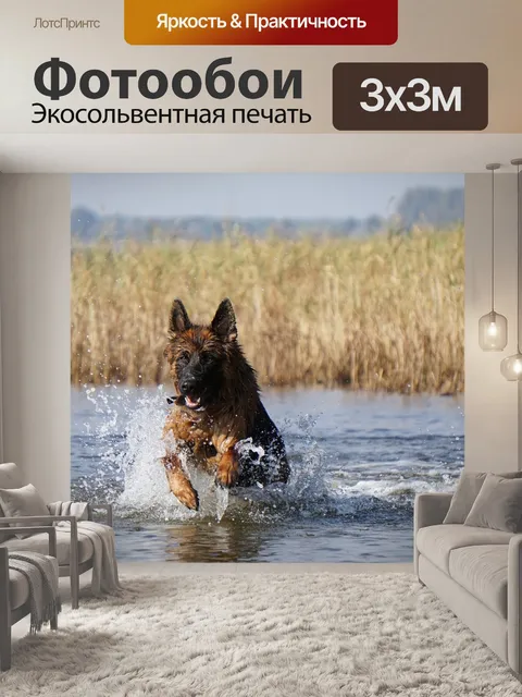 Фотообои Собака