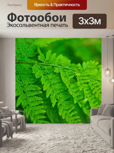 Фотообои папоротник