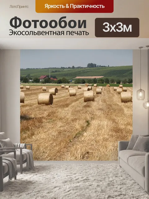 Фотообои Поле