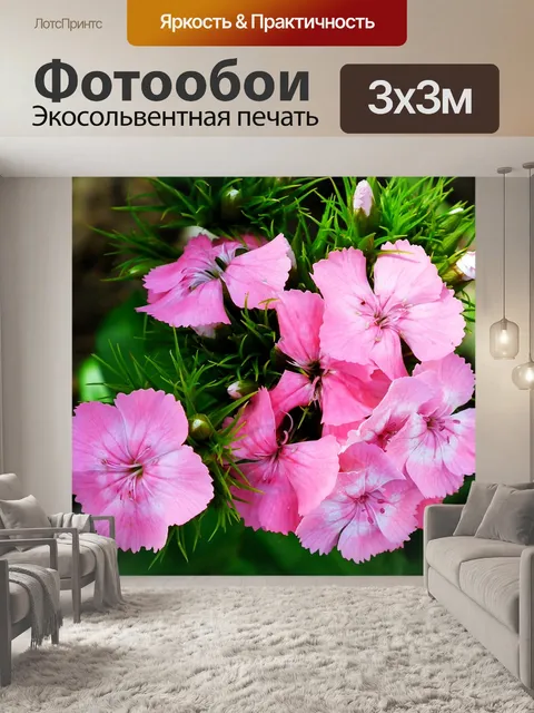 Фотообои Цветы