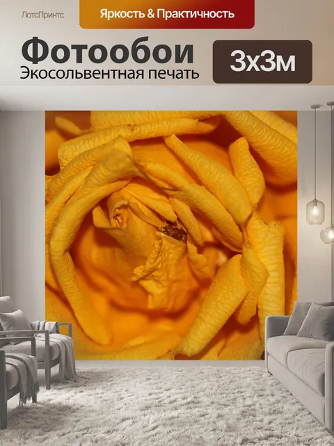 Фотообои Лепесток
