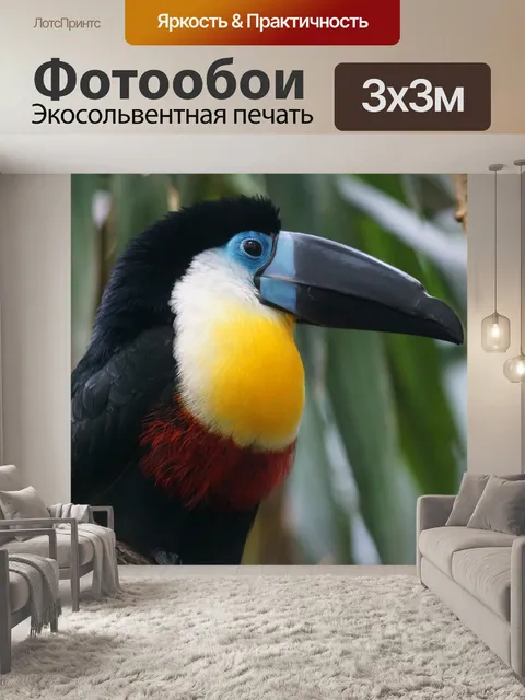 Фотообои Тукан