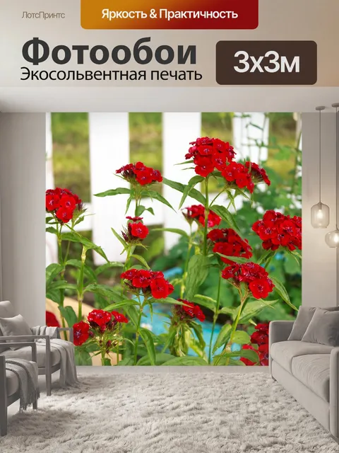 Фотообои Цветы