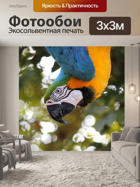 Фотообои Ара