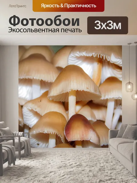 Фотообои Грибы