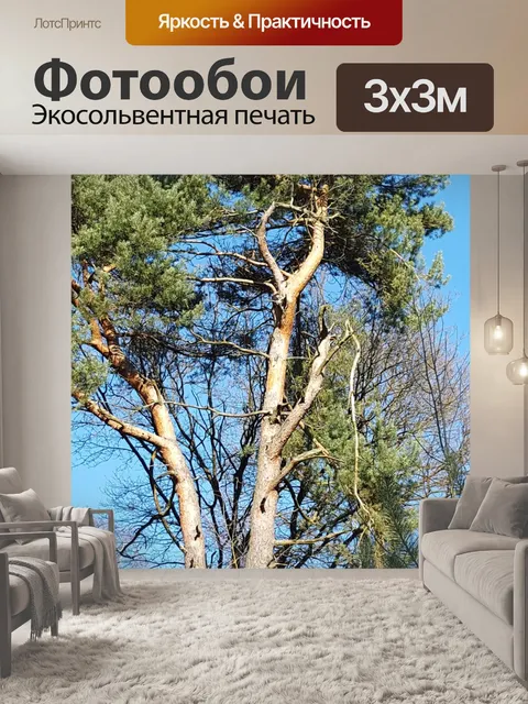Фотообои Челюсть